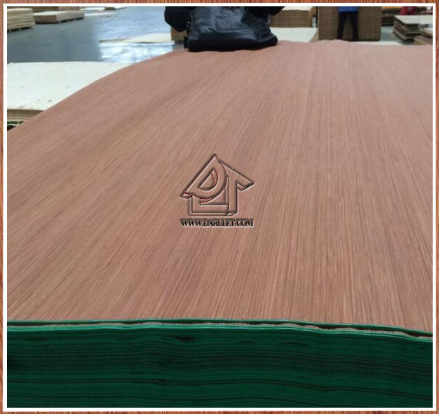 Gurjan color recon veneer